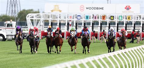 racetrack roulette|woodbine thoroughbred race track.